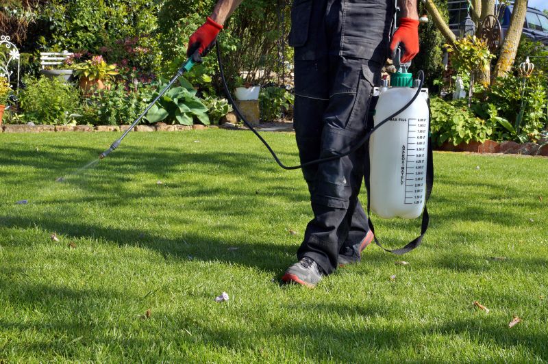 Lawn Herbicide Treatment in Rockwall, TX