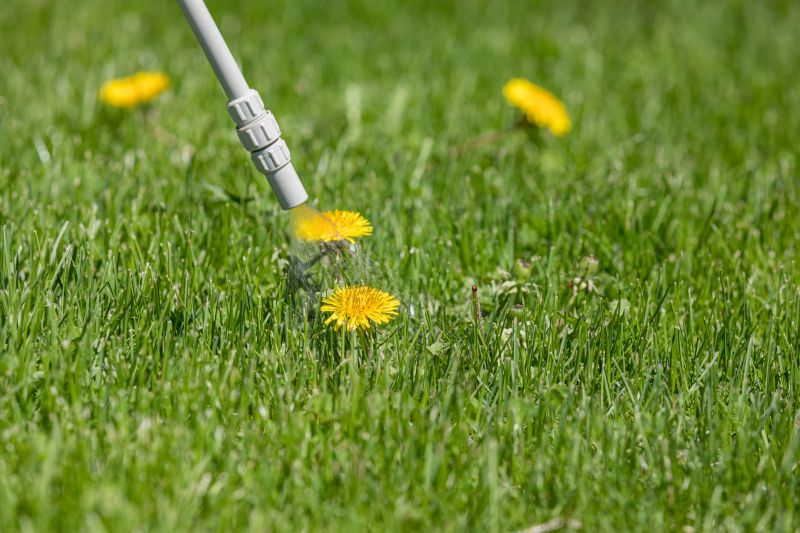 Lawn Herbicide Treatment in Rockwall, TX