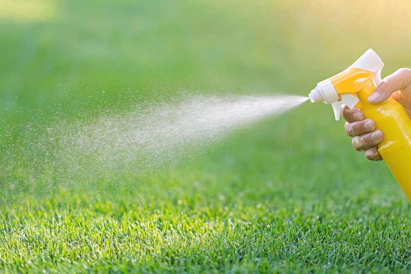 Lawn Weed Treatment in Honolulu, HI