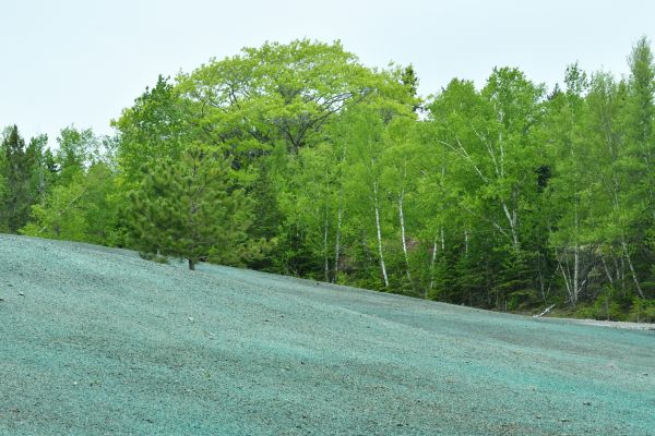 Hydromulch Seeding