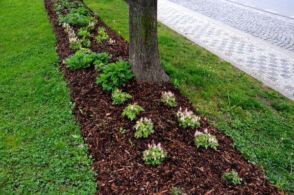 Mulch Seeding