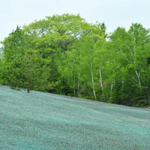 Columbia Hydroseeding